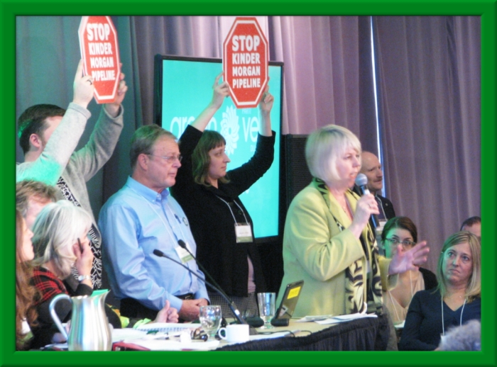 Former GPC Deputy Leader and current Vancouver Councillor, Adriane Carr spoke about Kinder Morgan at the SGM plenary